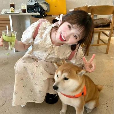 彩色响尾蛇海报